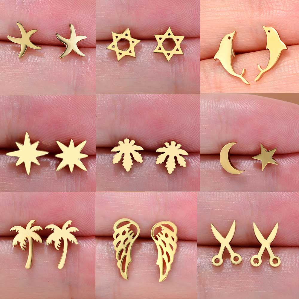 Body Jewelry Titanium - Mini boucles d'oreilles en acier inoxydable