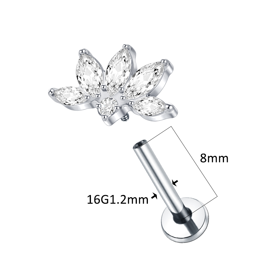 Boucle d'Oreille en Titane Bla - Body Jewelry Titanium avis et prix