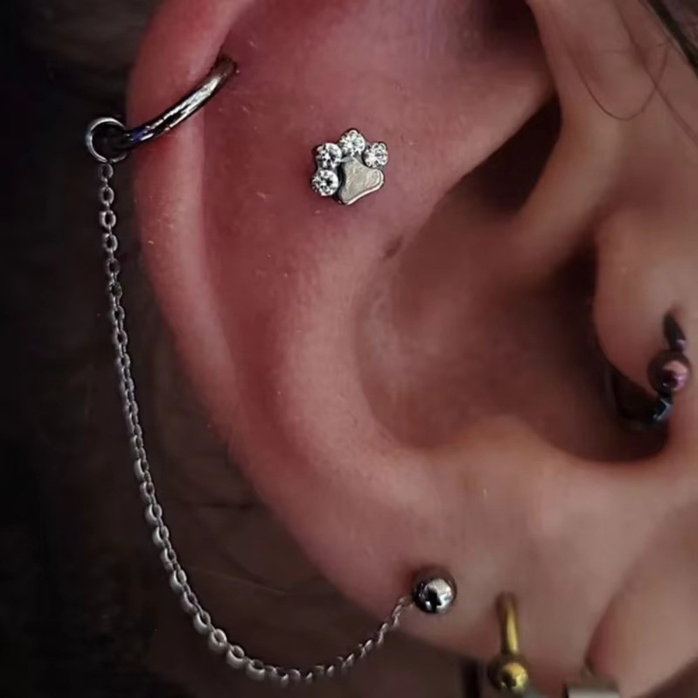 Chaîne de nez en titane, chaîn - Body Jewelry Titanium avis et prix