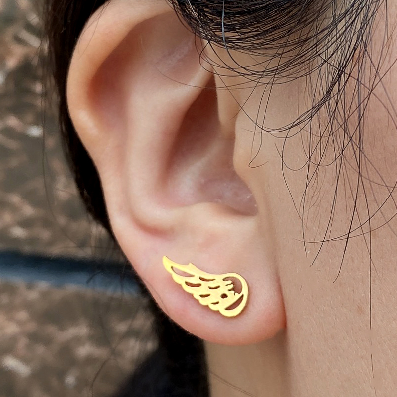 Mini boucles d'oreilles en aci - Body Jewelry Titanium avis et prix