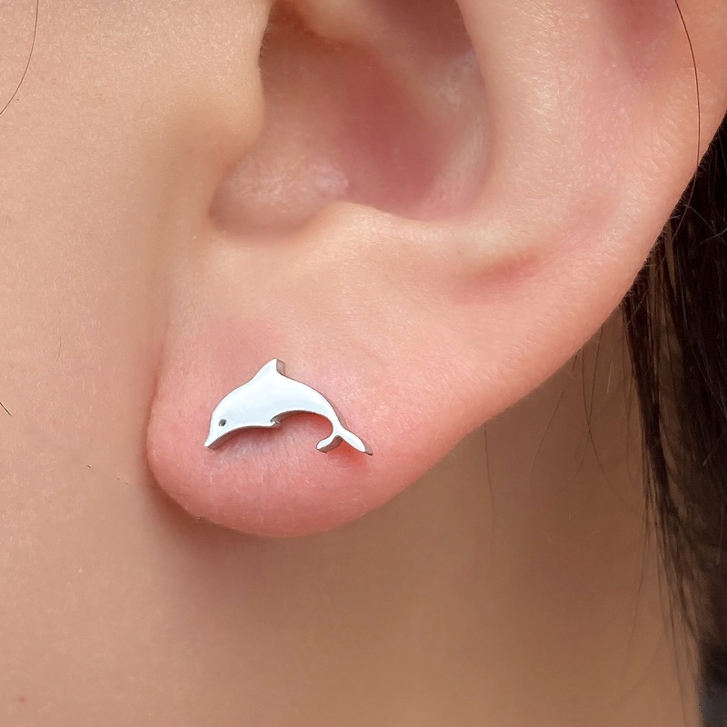 Mini boucles d'oreilles en aci - Body Jewelry Titanium avis et prix
